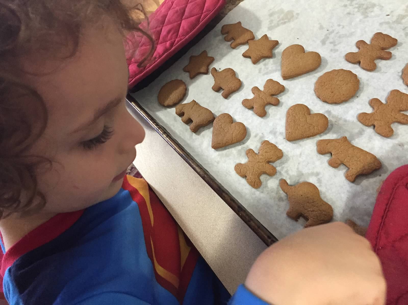 Gingerbread Cookie Recipe