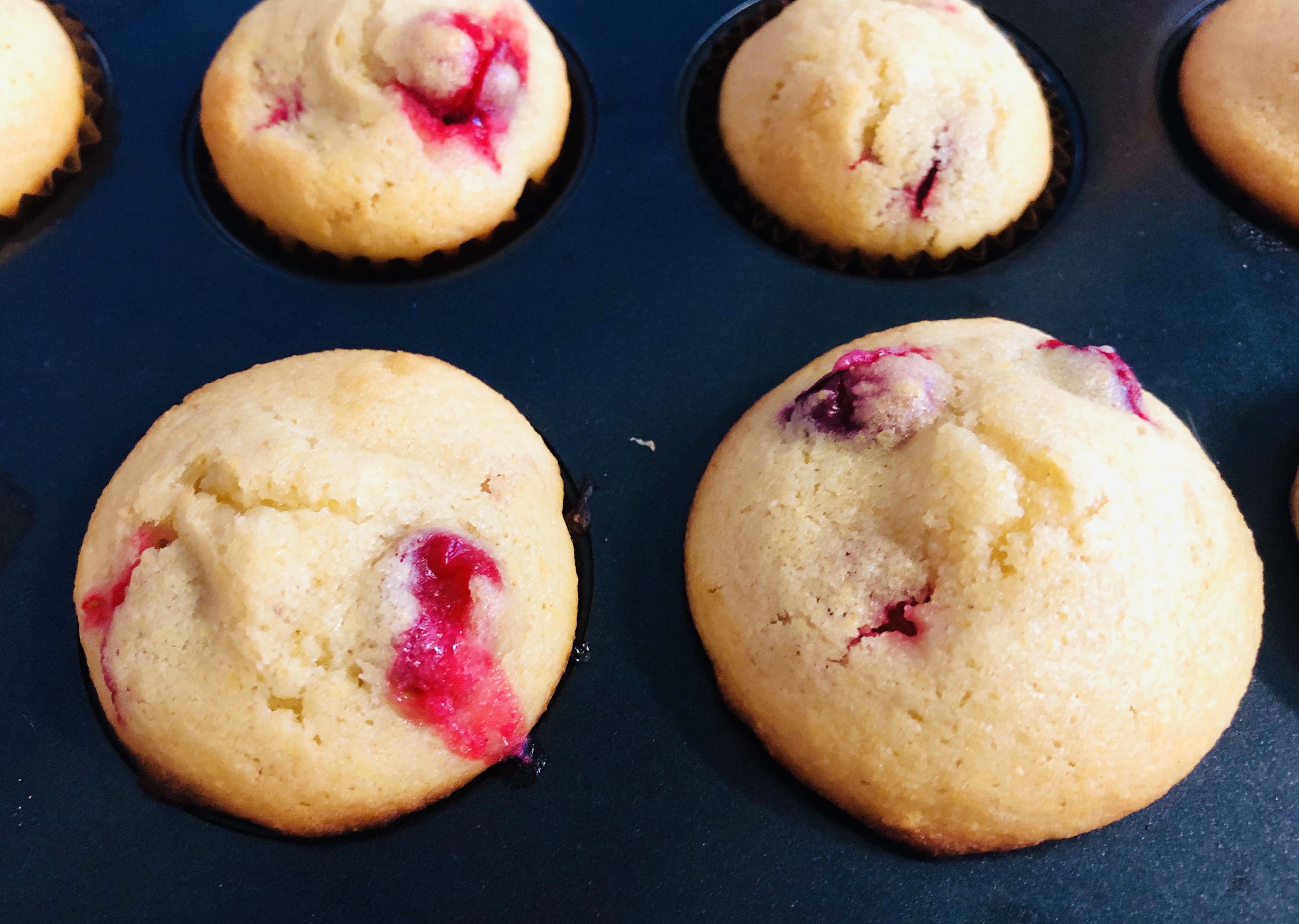 Crystallized Ginger Cranberry Corn Muffins from Alexandersmom.com