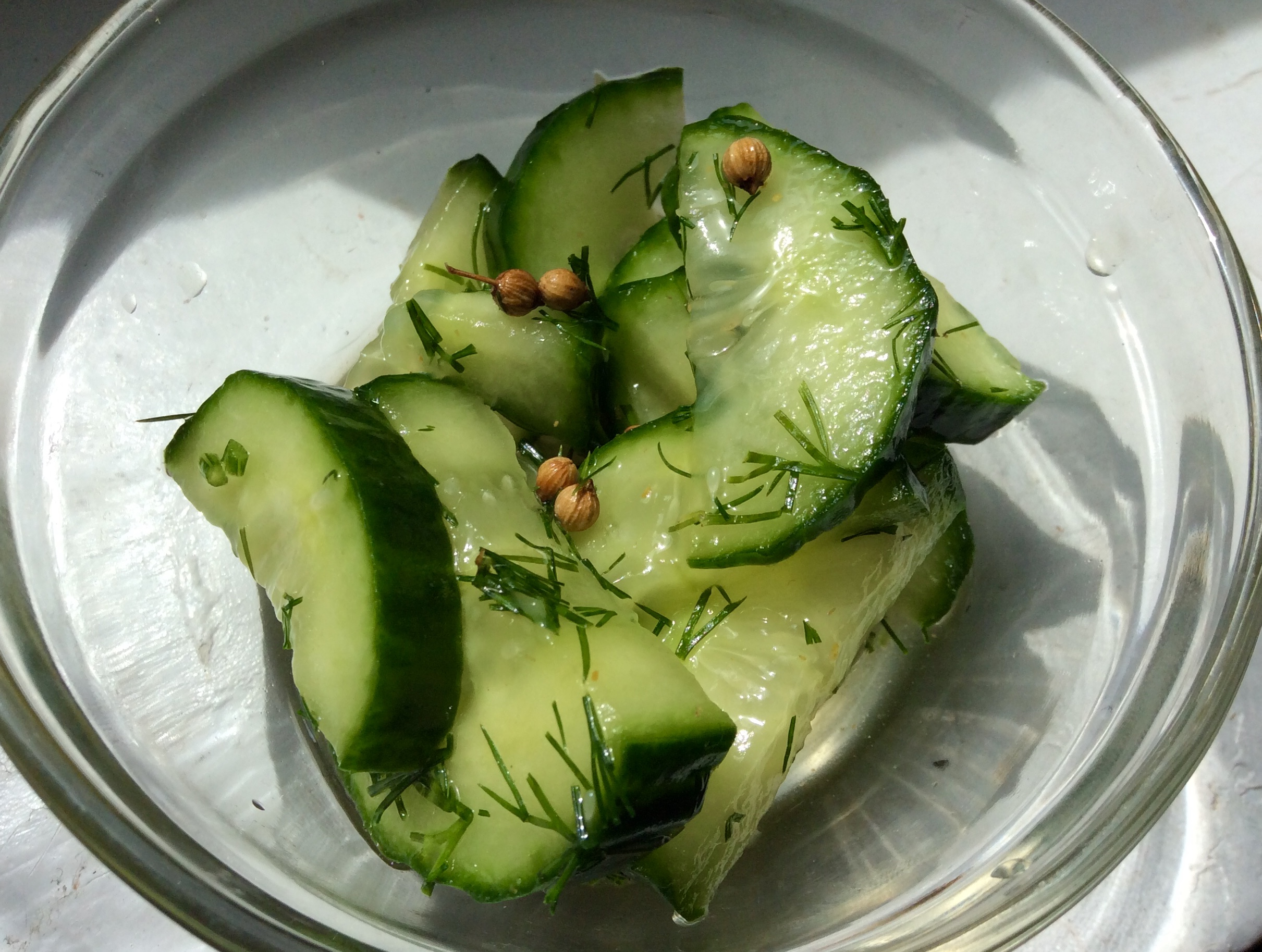 Fresh Dill Corriander Cucumber Refrigerator Pickles from Alexandersmom.com